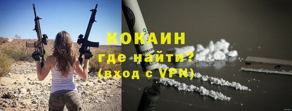 первитин Няндома