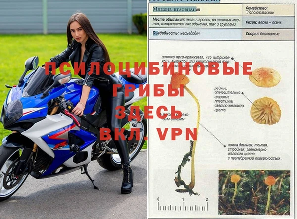 спиды Нягань
