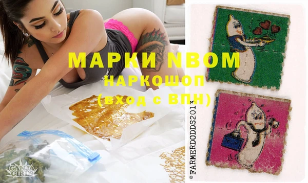 первитин Няндома