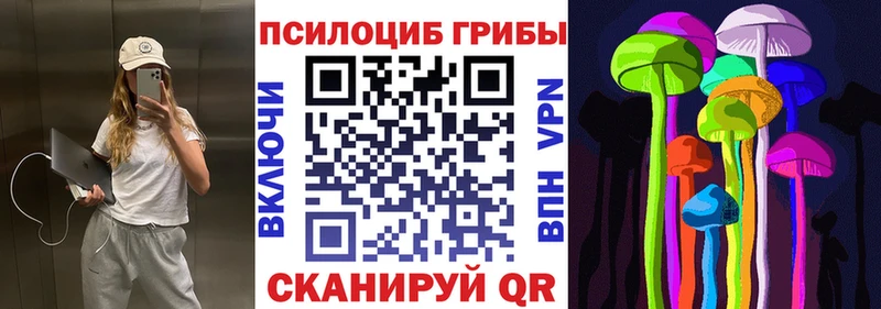 Галлюциногенные грибы Psilocybine cubensis где купить нарко площадка состав Лабинск кракен вход